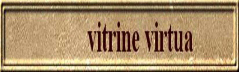 VITRINE VIRTUA